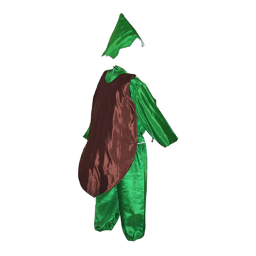 Kiwi fancy dress costume