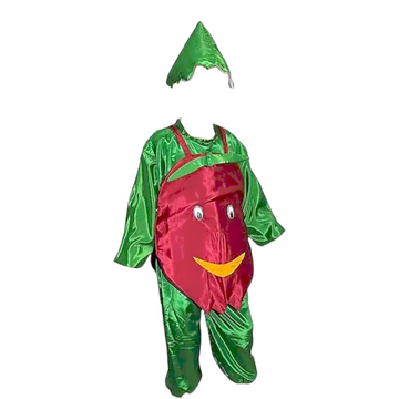 Pomegranate fancy dress costume