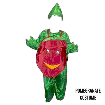 Pomegranate fancy dress costume